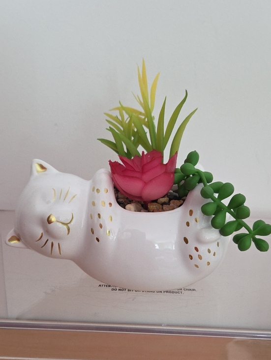 Expressions Other - White Ceramic Cat Succulent Planter with Gold Accents